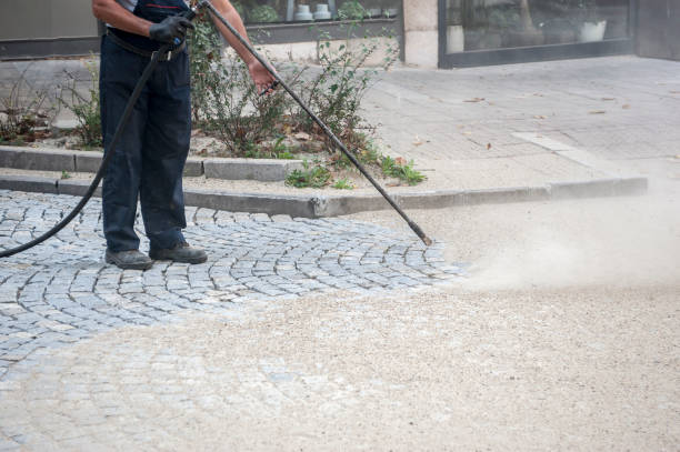 Best Driveway Cleaning and Restoration in Carrizo Springs, TX